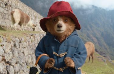 Paddington v džungli 