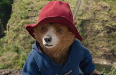 Paddington v džungli 